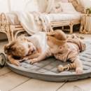 Siirry ryhmään Leikkimatot ja lelukaaret