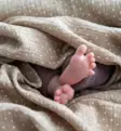 unavaate_dots_pilkullinen_light_beige_harso_wauva - Harsot ja kuolalaput - 80067 - 1