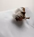 Sebra Muotolakana vauvalle pinnasänkyyn birchbark rose wauva - Liinavaatteet ja suojat pinnasänkyyn - 100830021 - 4