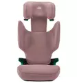 Britax Discovery Plus 2 Turvavyöistuin dusty rose wauva - Turvavyöistuimet lapselle - 2000039713 - 4