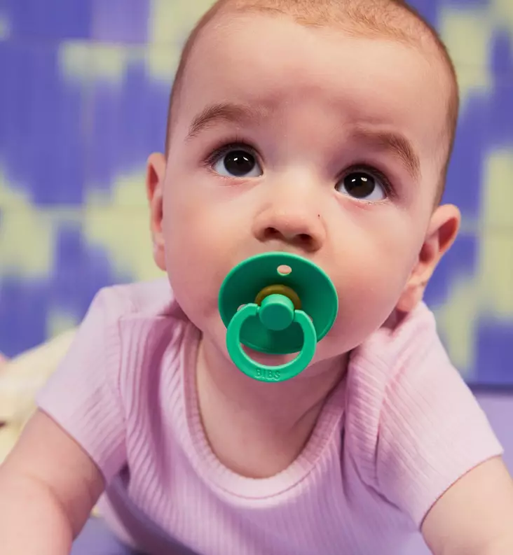 Bibs Colour Luonnonkumitutti 2-pack matcha cactus wauva - Tutit ja tuttinauhat - 110473 - 1