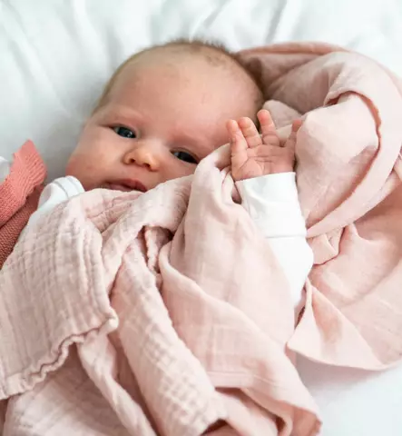 Unavaate_harso_nude_pink_Wauva - Harsot ja kuolalaput - 80340 - 2