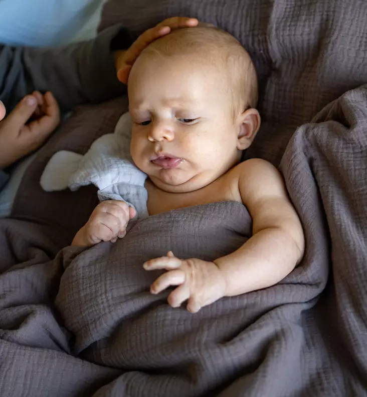 Unavaate vauvan pussilakanasetti 85 x 125cm brown wauva - Liinavaatteet ja suojat pinnasänkyyn - 84394 - 1