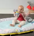 Taf_Toys_leikkimatto_musiikki_vauvapes=C3=A4_wauva - Leikkimatot ja lelukaaret - 237706 - 6