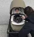 Thule Charm 2-in-1 Yhdistelmävaunut - Yhdistelmävaunut - 11500506 - 39