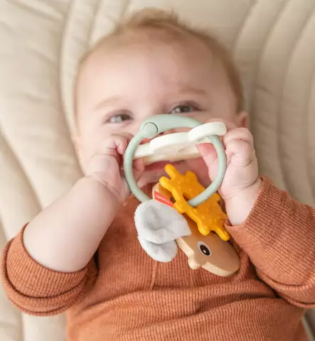 Done By Deer aistilelu aktiviteettilelu purulelu wauva - Vaunu- ja aktiviteettilelut vauvoille - 4348227 - 2