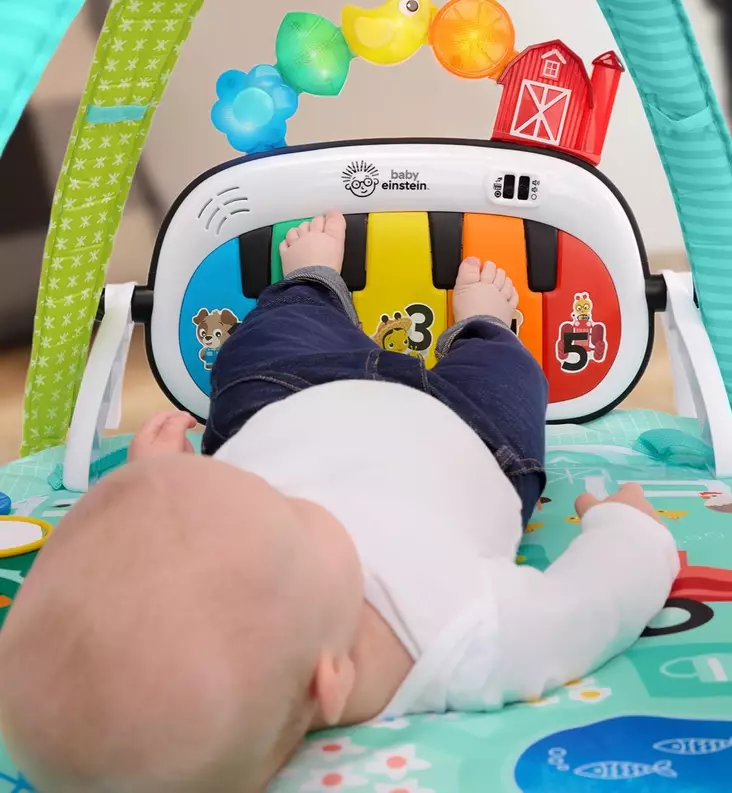 Baby Einstein Leikkimatto musical meadow wauva - Leikkimatot ja lelukaaret - BE-17447 - 1