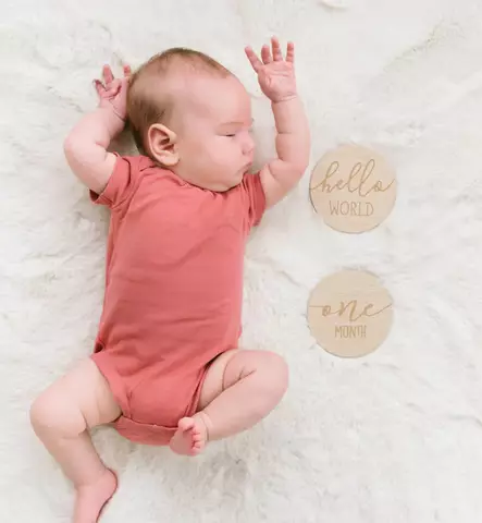 Pearhead_milestones_kortit_puiset_kuukausi_wauva - Vauvakirjat, kehykset ja muistot - PH87068 - 2