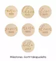 Pearhead_milestones_kortit_puiset_kuukausi_wauva - Vauvakirjat, kehykset ja muistot - PH87068 - 4