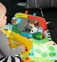 Baby Einstein leikkimatto oppimisalusta tummy time wauva - Leikkimatot ja lelukaaret - BE-16788 - 4