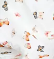 Unavaate kuvioharso butterflies bold wauva - Harsot ja kuolalaput - 85829 - 3