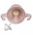 b.box Lasten 3-in-1 Mukisetti blush wauva - Lasten mukit, nokkamukit ja pillimukit - 1349 - 4
