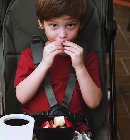 Bugaboo Butterfly 2 Matkarattaiden Starttipaketti kuljetuslaukulla heritage black wauva - Matkarattaat - 100338022-PK - 2