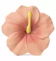 Oli&Carol Kukka purulelu kylpylelu vastuullinen ekologinen eettinen wauva - Purulelut - L-HIBISCUS-PINK - 1