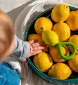 Oli&Carol purulelu helistin sitruuna ekologinen eettinen wauva - Pehmolelut ja helistimet - L-RATTLE-LEMON - 5