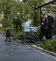 Thule Urban Glide 3 Yhdistelmävaunut, 4-Wheel - Yhdistelmävaunut - 10101976-P - 34