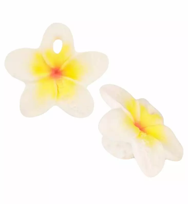 Oli&Carol Kukka purulelu kylpylelu vastuullinen eettinen ekologinen wauva - Purulelut - L-CHEWY-FLOWER - 1